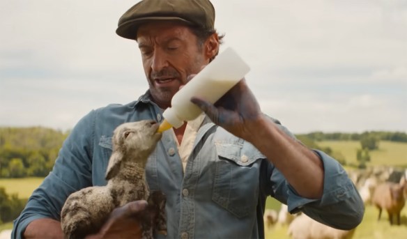 Hugh Jackman feeding a baby lamb. 