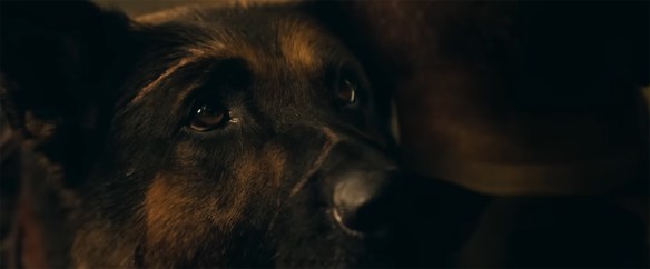 A dog.