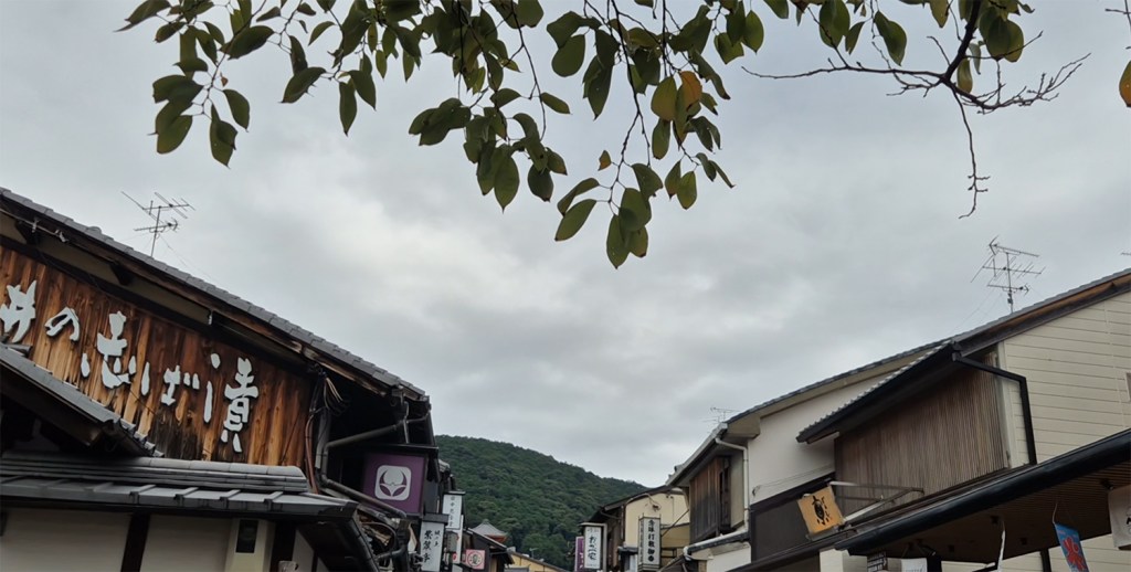 View of traditional Japanese buildings with wooden signage and trees, against a cloudy sky.