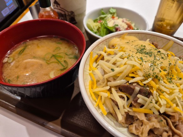 A hearty Japanese dinner Gyudon meal.