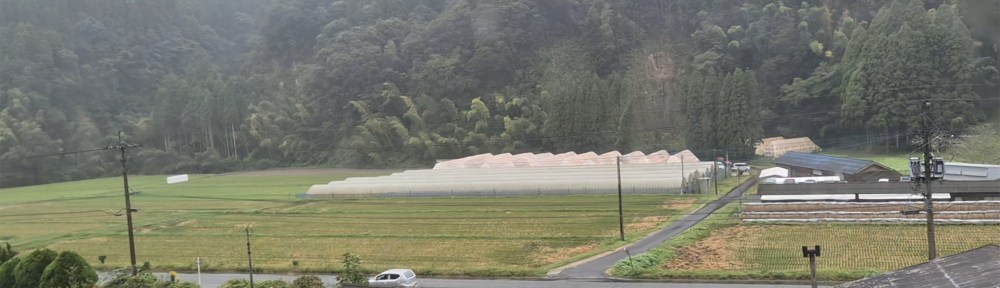 Mountain farm.
